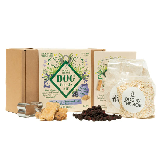 Blueberry & Oats Dog Cookie Making Kit