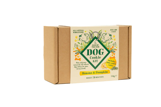 Pumpkin Seed and Banana Dog Cookie Making Kit